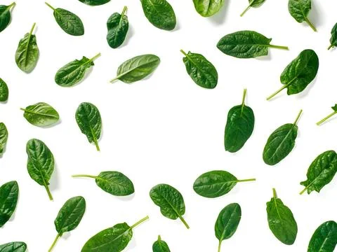 Pattern from baby spinach isolated Pattern from baby spinach leaves with c... Foto stock