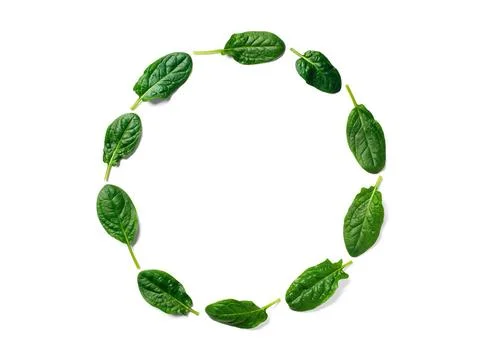 Pattern from baby spinach in round frame isolated Pattern from baby spinac... Stock Photos