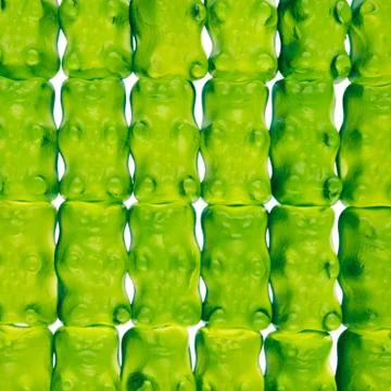 Pattern background close up candy bears colorful Stock Photos