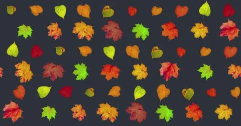Pattern background of rotating dry autumn leaves with shadow, happy Illustrazione stock