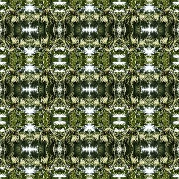 Pattern background tree Stock Photos