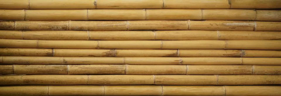 The Pattern of bamboo texture background. Stock Photos