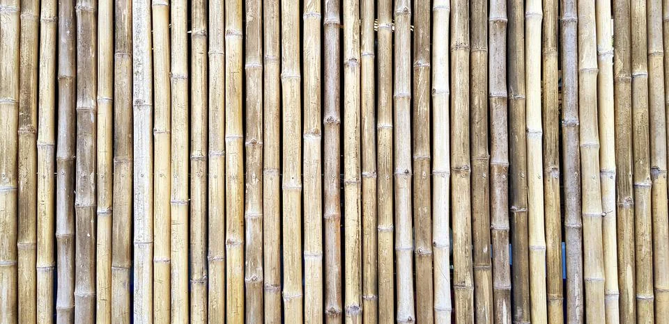 Pattern of bamboo wall for background. Art, Wallpaper and Exterior design Stock Photos