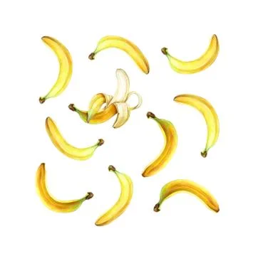 Pattern with bananas isolated on white. Hand drawn watercolor illustration. Stock Illustration