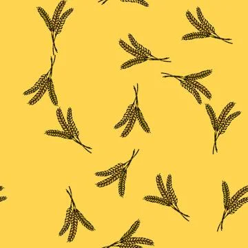 Pattern barley wheat sketch hand drawn 스톡 일러스트