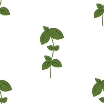 Pattern with basil Stock Illustration