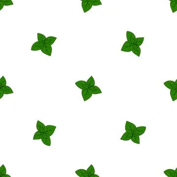 Pattern with basil Stock Illustration