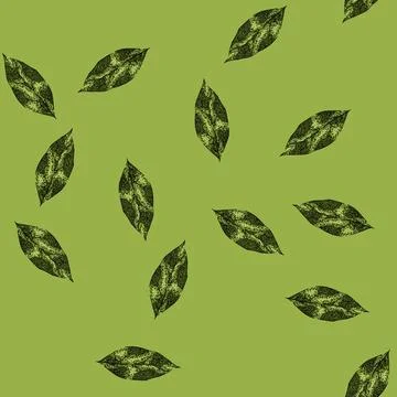 Pattern bay leaf herb spice sketch hand drawn イラスト素材