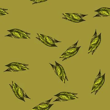 Pattern bay leaf herb tree sketch hand drawn Stockillustratie
