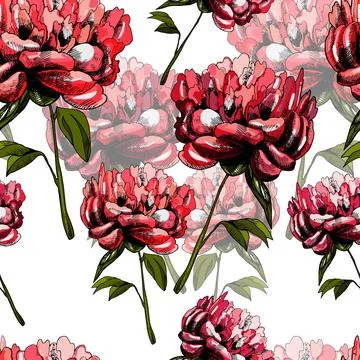 Pattern with beautiful flowers peonies Illustrazione stock