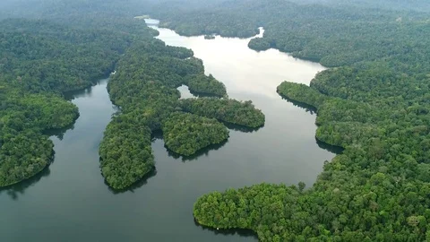 A pattern of beautiful rain forest island. Видео 79356455