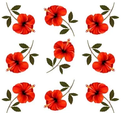 Pattern of beautiful red flowers. vector. Stock Illustration