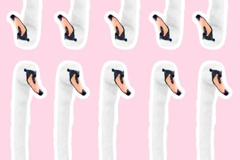 Pattern of beautiful swans isolated with white contour on background of pink. Stock Photos
