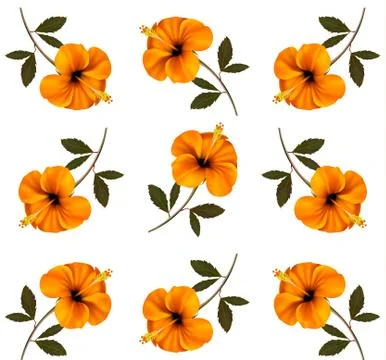 Pattern of beautiful yellow flowers. vector. Stock Illustration