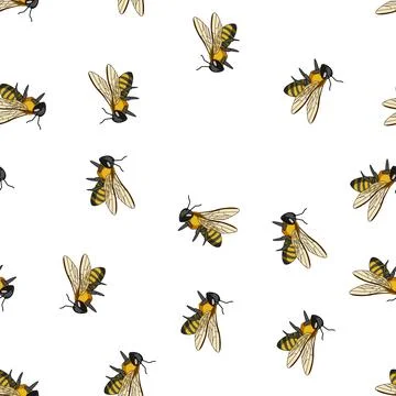 Pattern Bee flying with outstretched wings on white background 스톡 일러스트