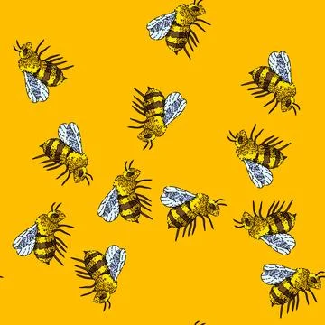Pattern bee honey sketch hand drawn 스톡 일러스트