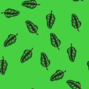 Pattern beet chard sketch hand drawn Stock Illustration