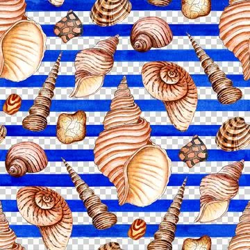 Pattern of beige seashells on a striped watercolor background Stock Illustration