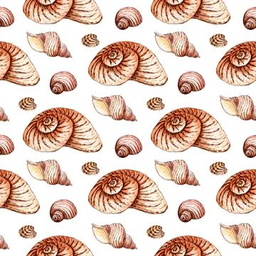 Pattern beige seashells watercolor Stock Illustration