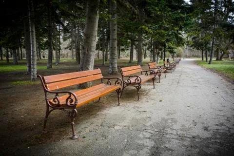 Pattern Bench in the park with pine trees, grass . Stock Photos
