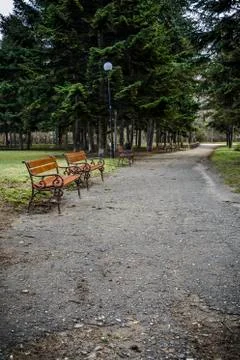 Pattern Bench in the park with pine trees, grass . Stock Photos