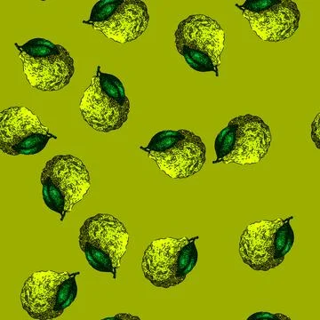 Pattern bergamot green fruit natural sketch hand drawn Stockillustratie