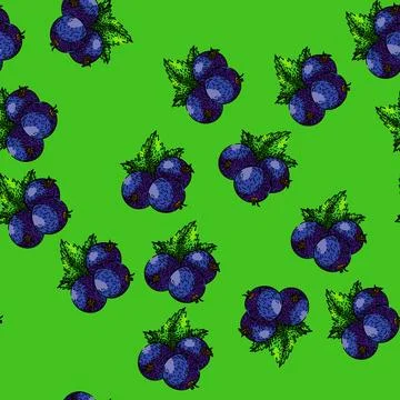Pattern berry black currant sketch hand drawn Illustrazione stock