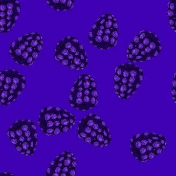 Pattern berry blackberry sketch hand drawn Illustrazione stock
