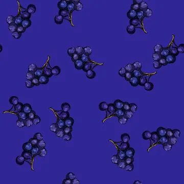 Pattern berry chokeberry aronia sketch hand drawn Stock Illustration