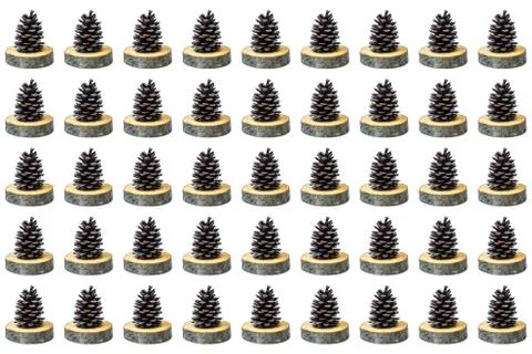 Pattern of big beautiful spruce cone. Stock Photos