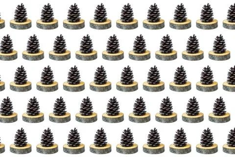 Pattern of big beautiful spruce cone. Stock Photos