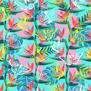 Pattern with the bird of paradise flower (Strelitzia )and butterflies exotic Illustration