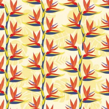 Pattern with Bird of paradise flower - tropical plant. Stock-Illustration