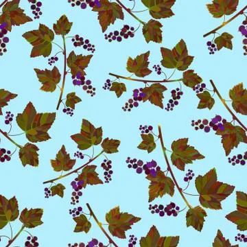 Pattern with black currantberries. Stock Illustration
