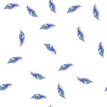 Pattern black peacock feather cartoon vector 스톡 일러스트