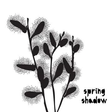 Pattern with black pussy willow silhouette shadow isolated Illustrazione stock