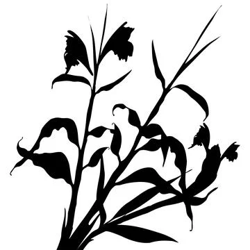 Pattern with black tropical leaves and flowers silhouette Stockillustratie