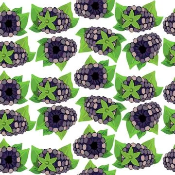 Pattern with blackberry BERRIES. Stock Illustration