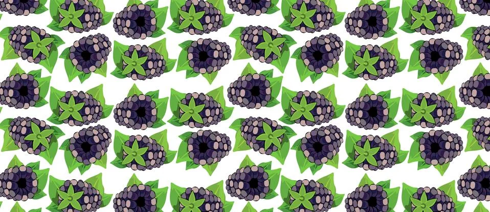 Pattern with blackberry BERRIES. Stock Illustration