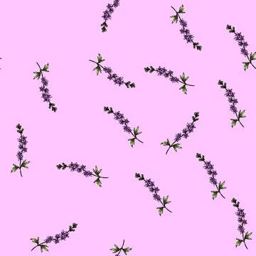 Pattern blooms delphinium sketch hand drawn Stock Illustration