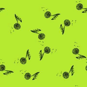 Pattern blossom dandelion sketch hand drawn Stock Illustration