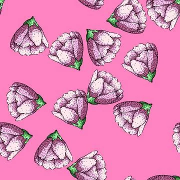 Pattern blossom sakura sketch hand drawn Stock Illustration