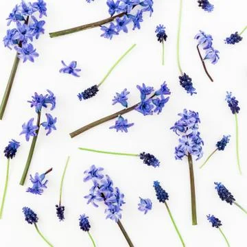 Pattern with blue or pink flowers and petals on white background. Flat lay, t Foto stock