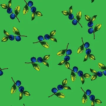 Pattern blueberry blue fresh sketch hand drawn Stock Illustration