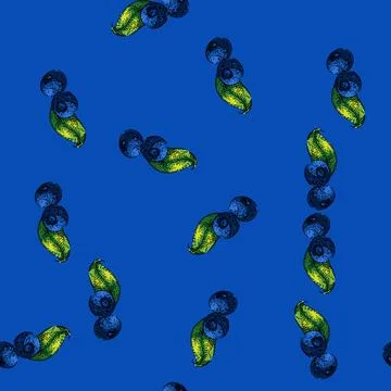 Pattern blueberry blue organic sketch hand drawn Illustrazione stock