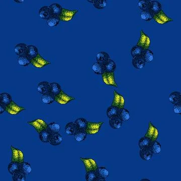 Pattern blueberry blue wild sketch hand drawn 스톡 일러스트