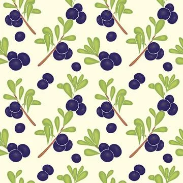 Pattern with blueberry branches hand drawing, no outline. Stock Illustration