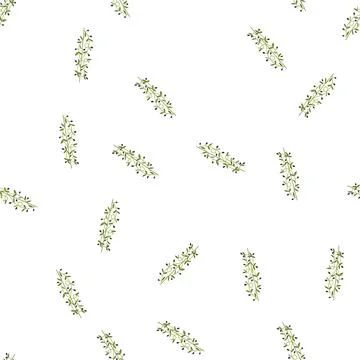 Pattern botanical olive border divider cartoon vector イラスト素材