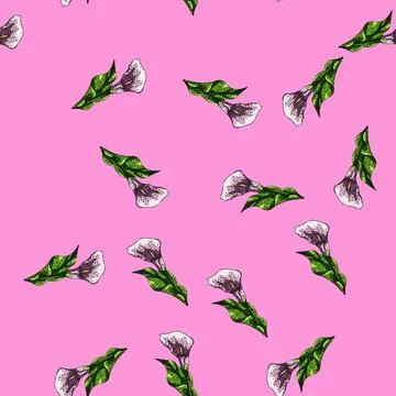 Pattern bouquet calla lily sketch hand drawn イラスト素材