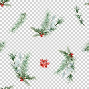 Pattern with a bouquet of spruce and pine branches, holly tree and red berries Stock Illustration